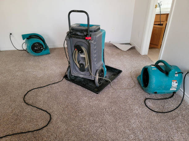 Trusted Louisville, GA Water damage restoration Experts