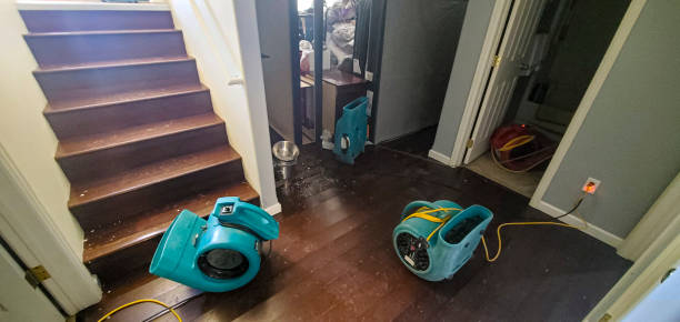Best Flood restoration services  in Louisville, GA