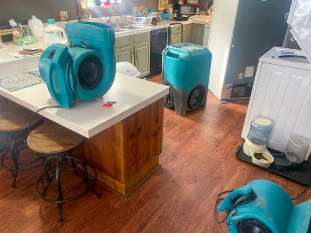 Best Ceiling water damage repair  in Louisville, GA