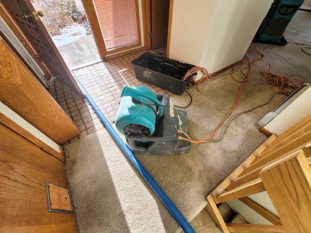 Best Carpet water damage restoration  in Louisville, GA