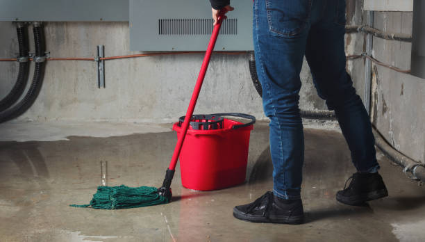 Carpet water damage restoration in Louisville, GA