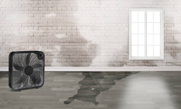 Best Fire Damage Restoration  in Louisville, GA