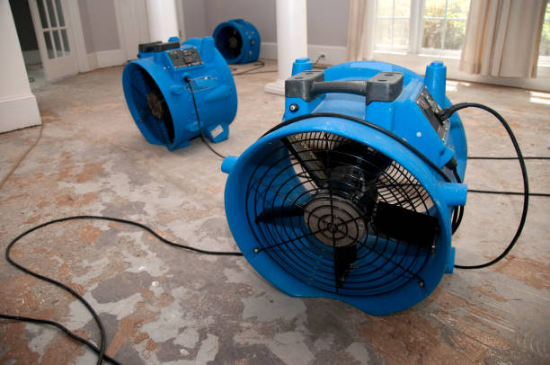 Best Flooded house restoration  in Louisville, GA