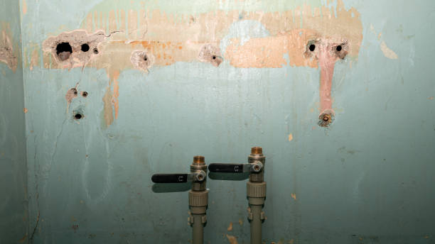 Best Fire Damage Restoration  in Louisville, GA