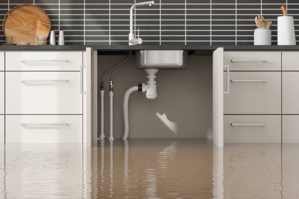 Best Water damage restoration cost  in Louisville, GA