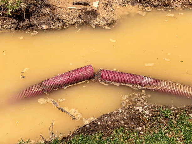 Best Residential water damage restoration  in Louisville, GA